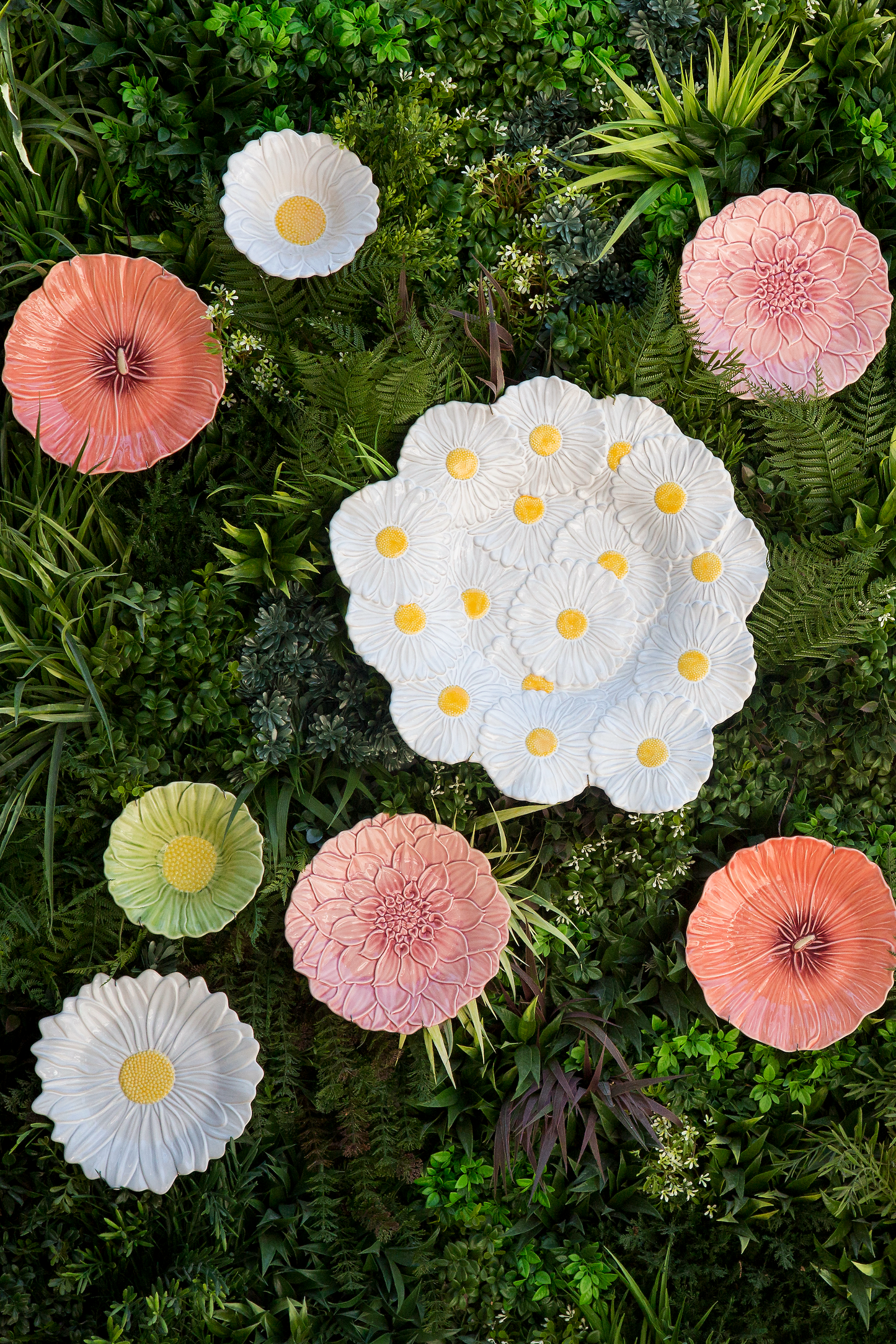 COSMOS Schale medium